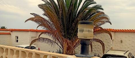 المنطقة المحيطة بالمنشأة