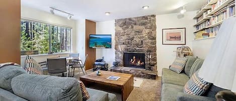 Televisión, chimenea, reproductor de DVD