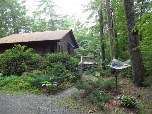 Fully equipped, romantic cabin for 2 in the Blue Ridge Mountains 
 