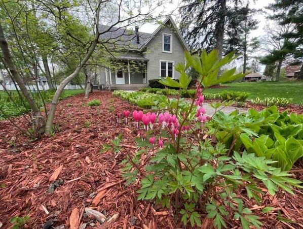 Property grounds - Hidden Northfield Cottage (Northfield)