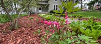 Hidden Northfield Cottage