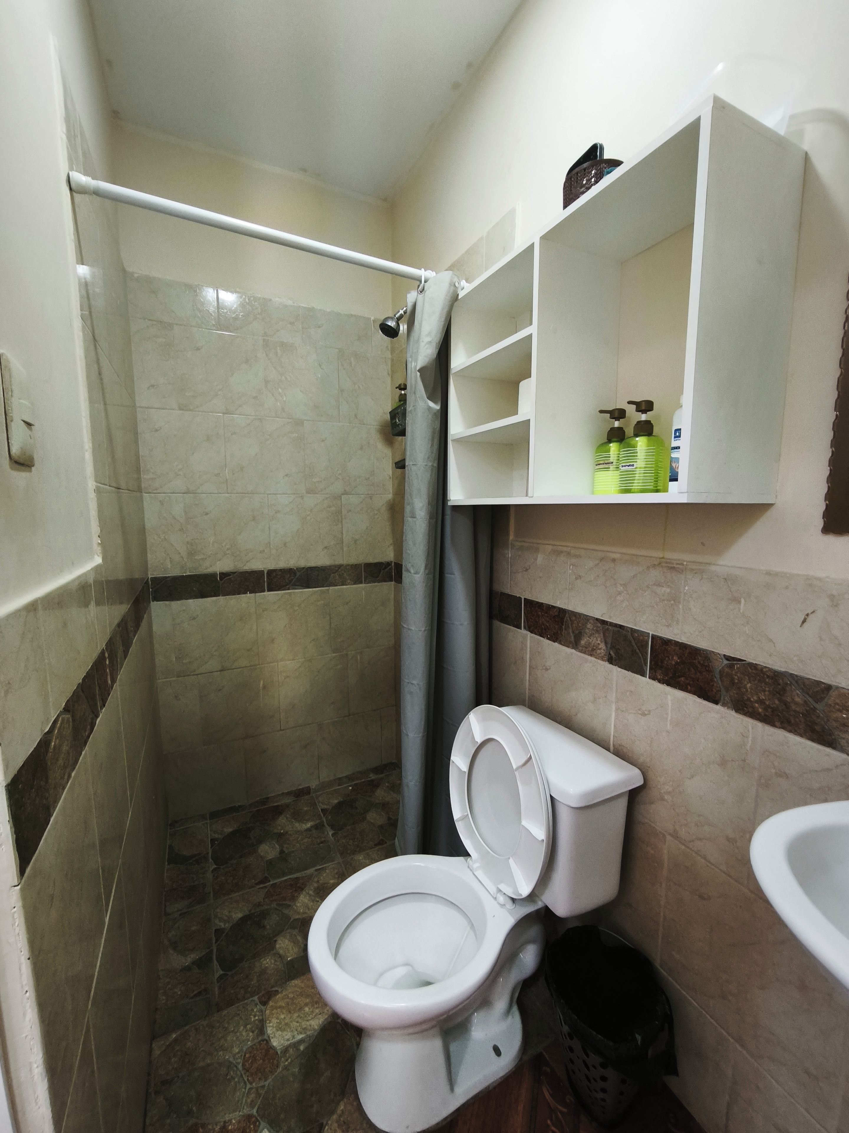 A bathroom with a shower, toilet, and a shelf with toiletries.