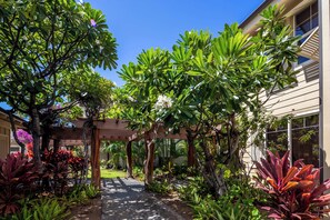 Property grounds - Hale Laki Stunning Resort Condo, Walk to Beach! (Waikoloa)