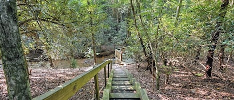 Un escalier en bois mène à une zone boisée, avec une rambarde sur le côté gauche.