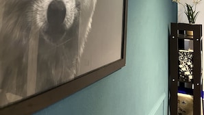 Fotografía enmarcada de un perro blanco y esponjoso sobre una pared verde azulada.