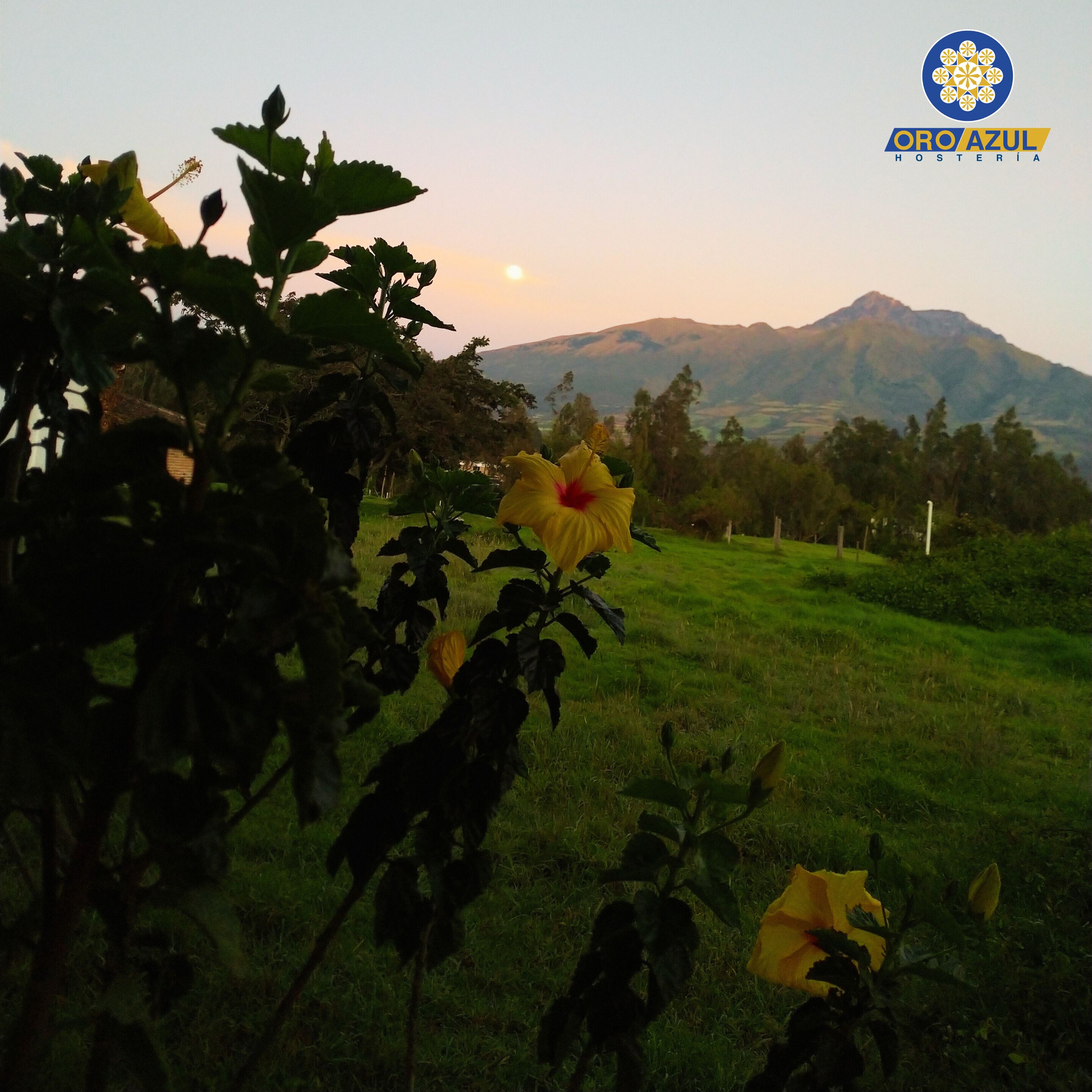 Deluxe Double Room | Mountain view