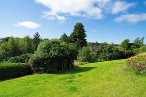 A lush green landscape with a variety of trees and a clear blue sky.