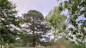 A gazebo with a grill, surrounded by a wooden fence and pink flowers, near a body of water with a house in the background. - Beautiful home on Lake Hamilton  ! (Lake Hamilton)
