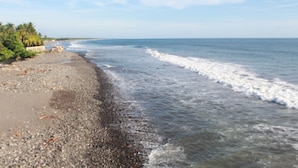 Ein Strand mit Kieselsteinen und Wellen, Palmen und blauem Himmel.