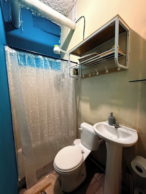 Chuveiro, secador de cabelo, toalhas de banho, sabonete