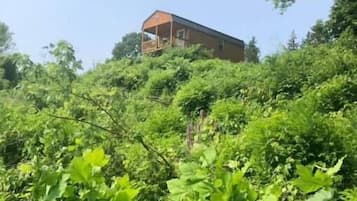 Terrain de l’hébergement 