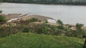 A riverbank with a sandy area and some greenery.