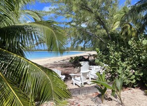 Property grounds - Hibiscus House Oceanfront Paradise in Fernandez Bay (New Bight)