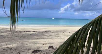 Hibiscus House Oceanfront Paradise in Fernandez Bay