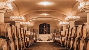 Une cave à vin avec des rangées de barriques en bois, un escalier central et des lustres décoratifs.
