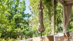 Un espace extérieur aménagé pour les repas, avec des tables et des chaises, entouré d’une végétation luxuriante.