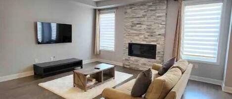 Smart TV, fireplace, books, video library