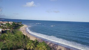 On the beach, sun-loungers - Village in front of the sea (Monte Gordo)