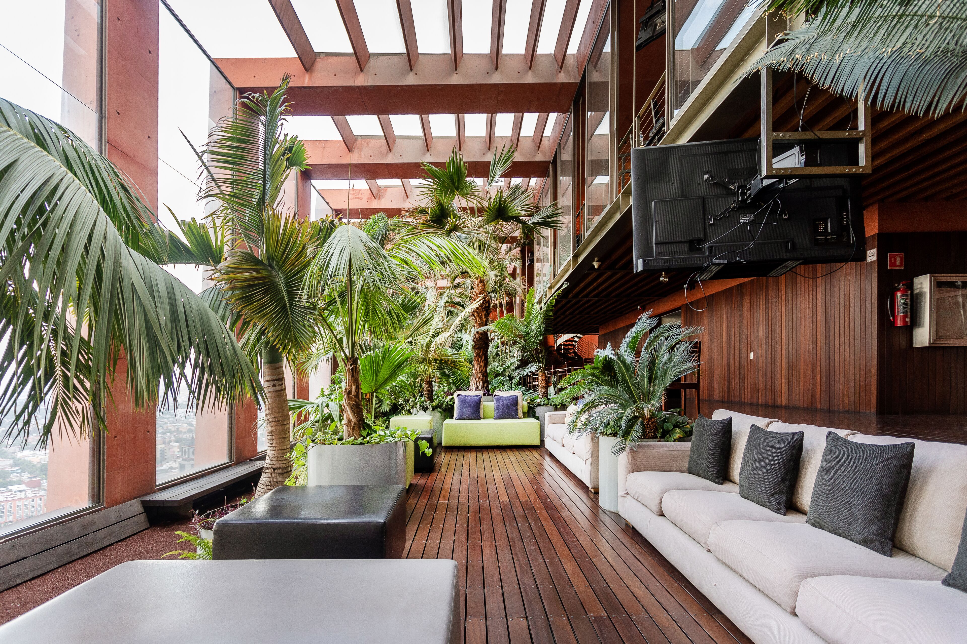 Terraza en la azotea