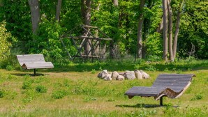 Un campo cubierto de hierba con dos bancos de madera, una valla metálica y una estructura de madera al fondo.