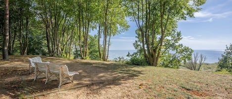 A park with a bench and a view of the sea.