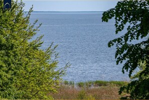 Unclassified image, 2 of 39, button