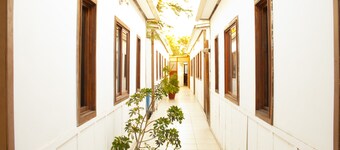 Hostal Plaza Carrera