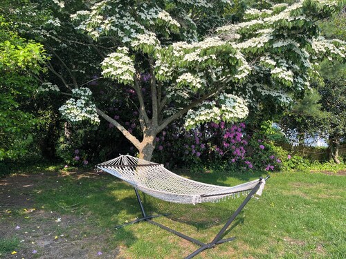 Spacious, dog friendly, 3-bedroom centrally located to the best of Cape Cod!