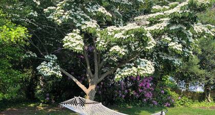 Spacious, dog friendly, 3-bedroom centrally located to the best of Cape Cod!