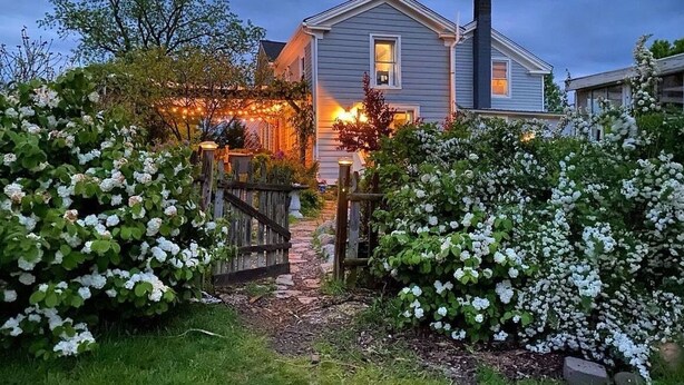 Una casa con un camino que lleva a la puerta principal, rodeada de arbustos blancos con flores.