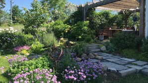Un jardín con un pérgola, un sendero de piedra y diversas plantas.