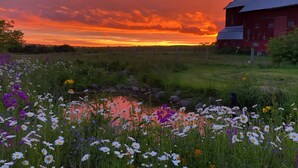 Paisaje rural con un granero rojo, un campo de flores silvestres y un cielo al atardecer.