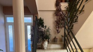 Apartment (Kate - free parking - A3 Srednji (2+2) | Exterior - Kate - Free Parking - A3 Srednji (Biograd na Moru)