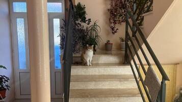 Apartment (Kate - free parking - A3 Srednji (2+2) | Exterior