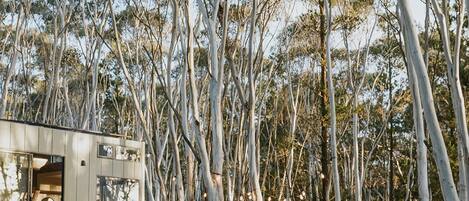 Facciata della struttura