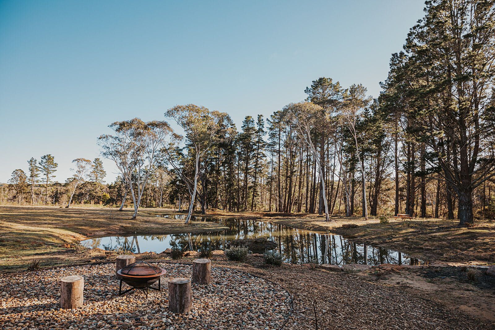 A serene outdoor setting with a pond, wooden benches, and a picnic table surrounded by trees.