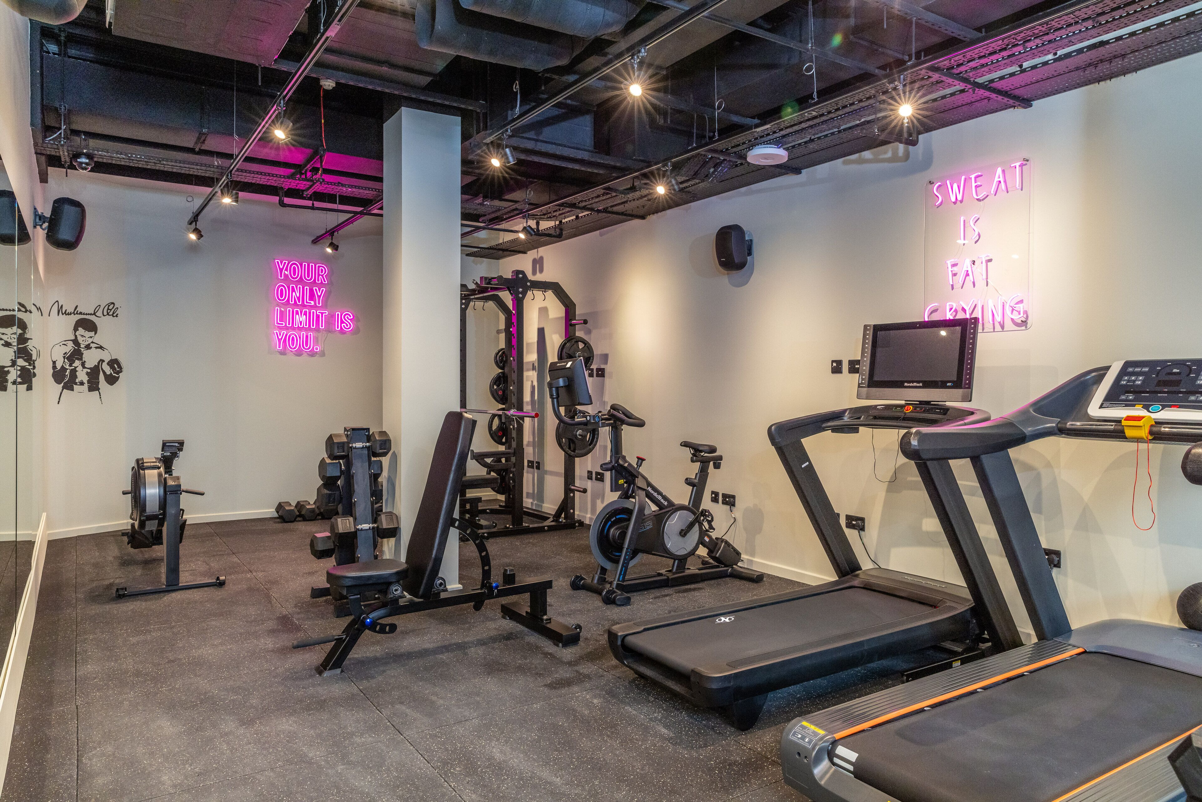 A modern gym with treadmills, weight machines, and a stationary bike.