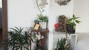 Canto de um quarto com soalho de madeira, parede branca e estante branca com plantas em vasos e objetos decorativos.