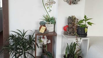 2 dormitoris, planxa i posts de planxar, wifi gratuïta i roba de llit