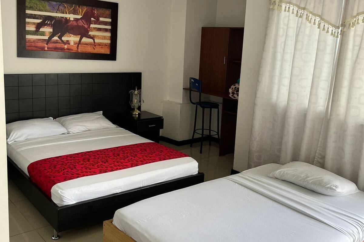 Habitación básica con 2 camas individuales, varias camas | Ropa de cama hipoalergénica y espacio para trabajar con un portátil