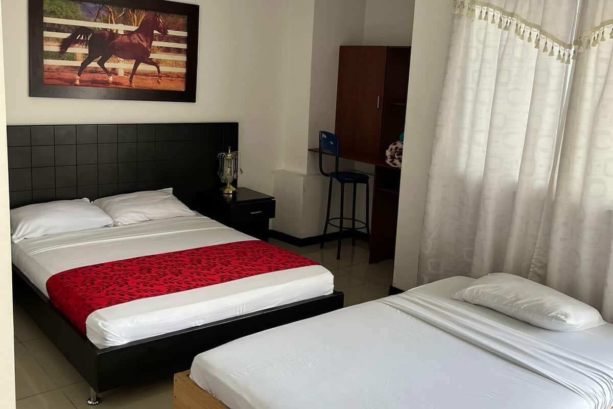 Basic Twin Room, Multiple Beds