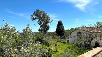 Un muro de piedra, un jardín con diversas plantas y un edificio con techo de tejas.