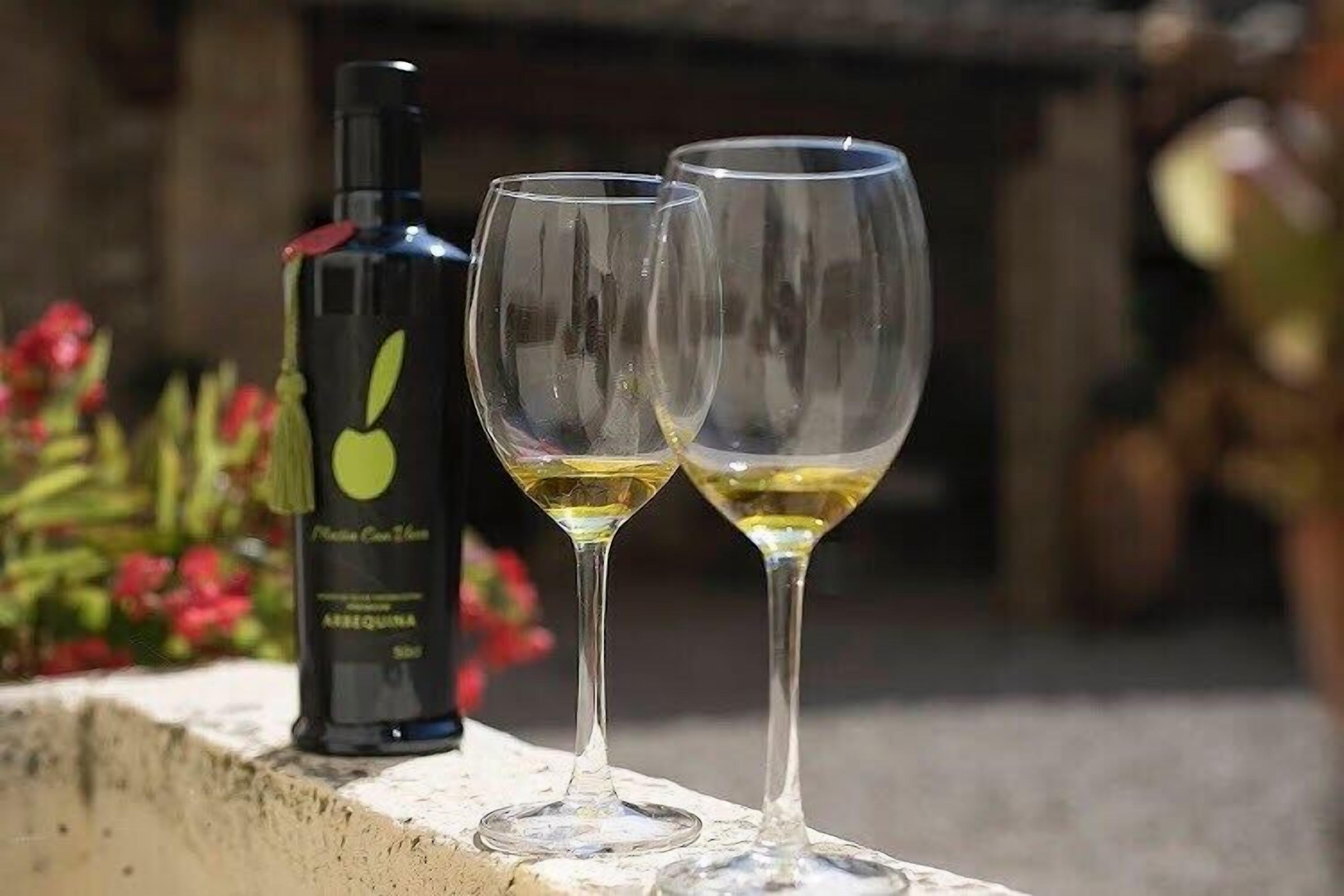Foto - Masia Can Viver - Olive oil tourism B&B