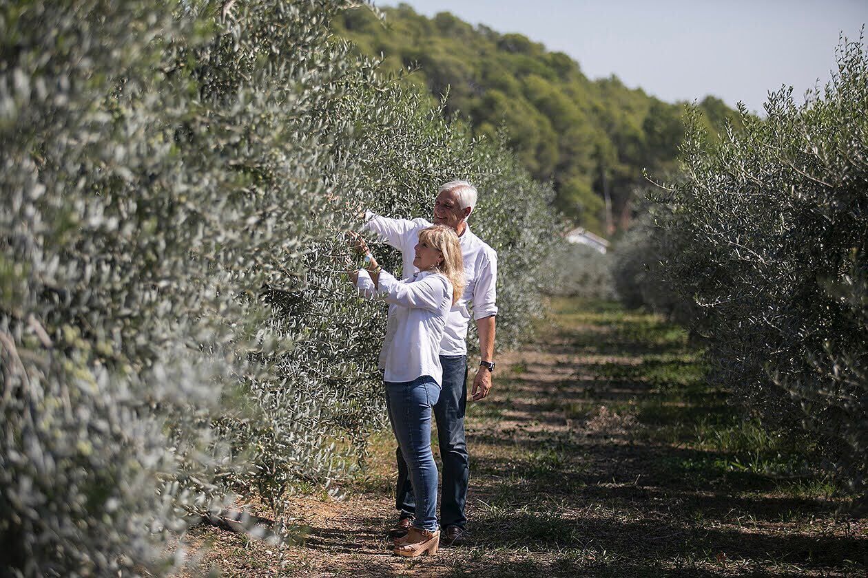 Photo - Masia Can Viver - Olive oil tourism B&B