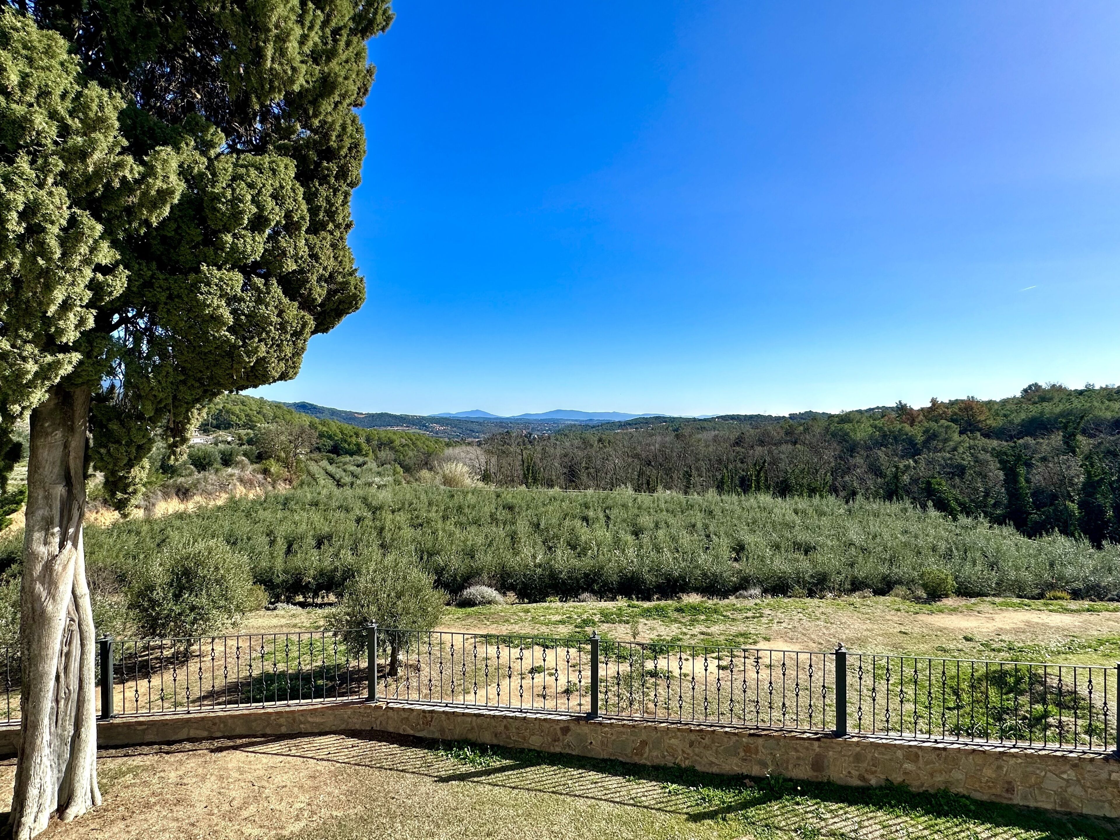 Photo - Masia Can Viver - Olive oil tourism B&B