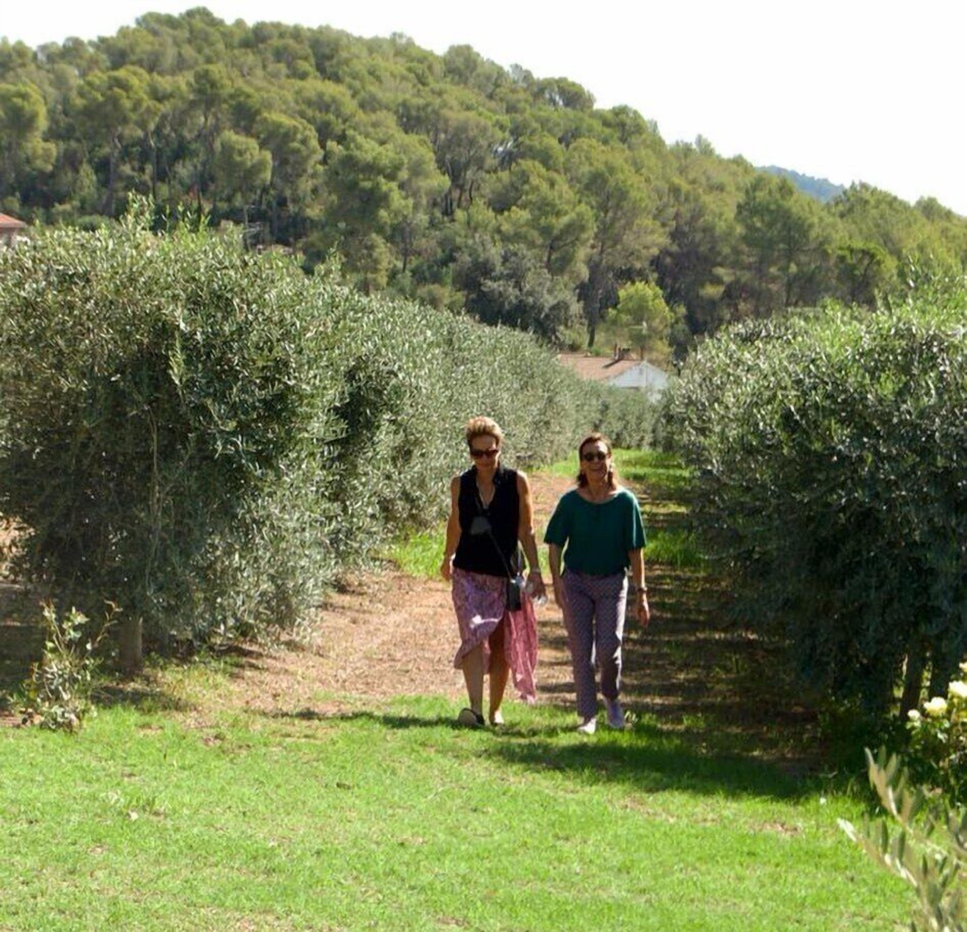 Photo - Masia Can Viver - Olive oil tourism B&B
