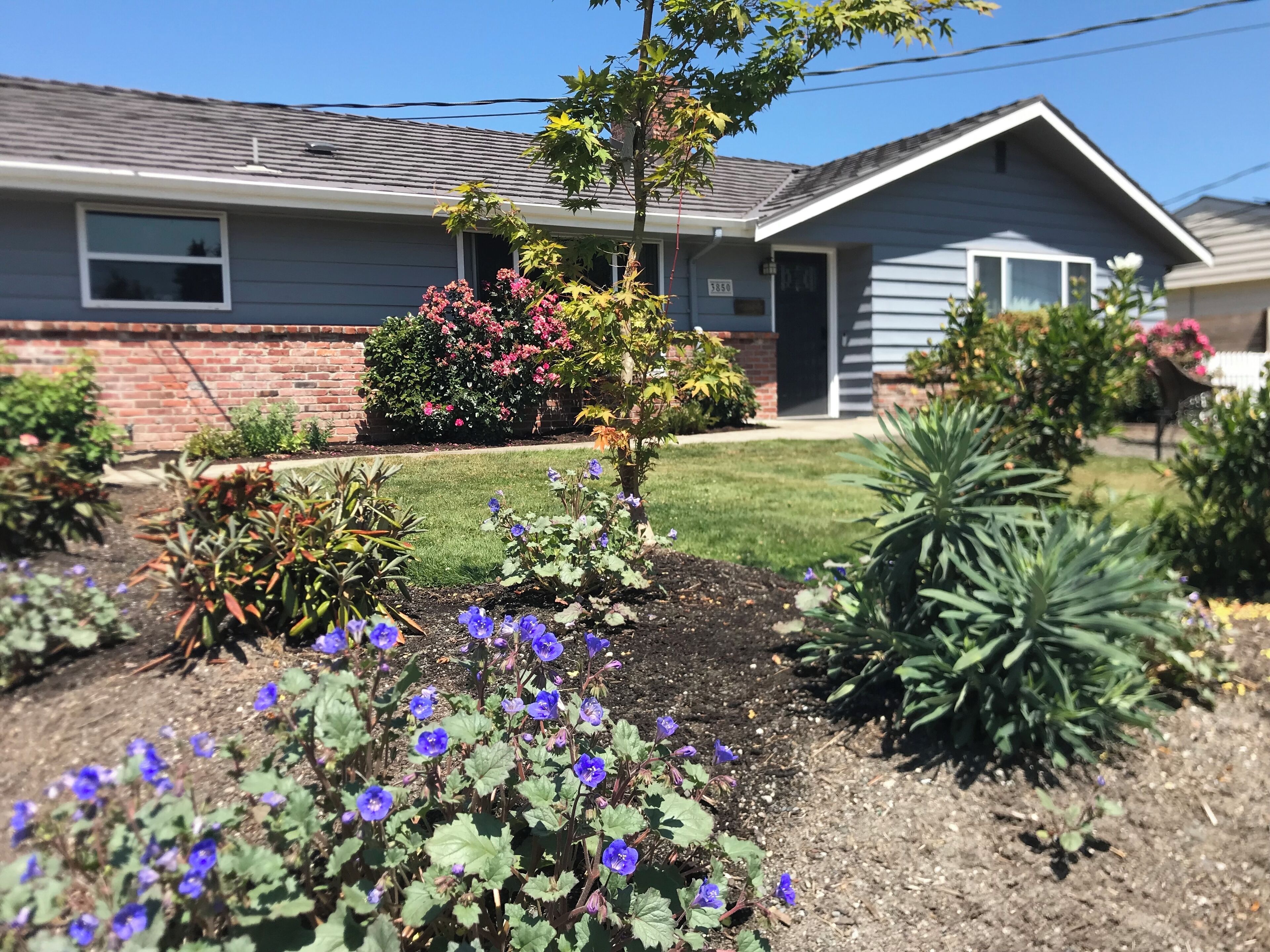 Comfortable family retreat with fireplace, views and game room. 