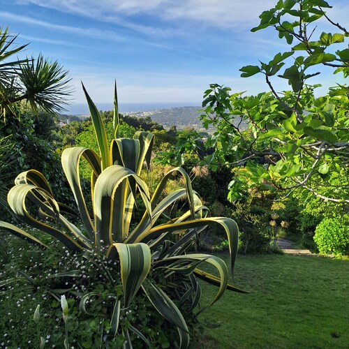 Quiet landscape with stunning views of the Atlantic Coast, Colares, Sintra