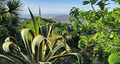 Quiet landscape with stunning views of the Atlantic Coast, Colares, Sintra