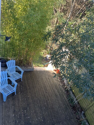 Loue 1 grand T2/3, au cœur de DAX, avec terrasse.
Animaux acceptés! Tout à pied.